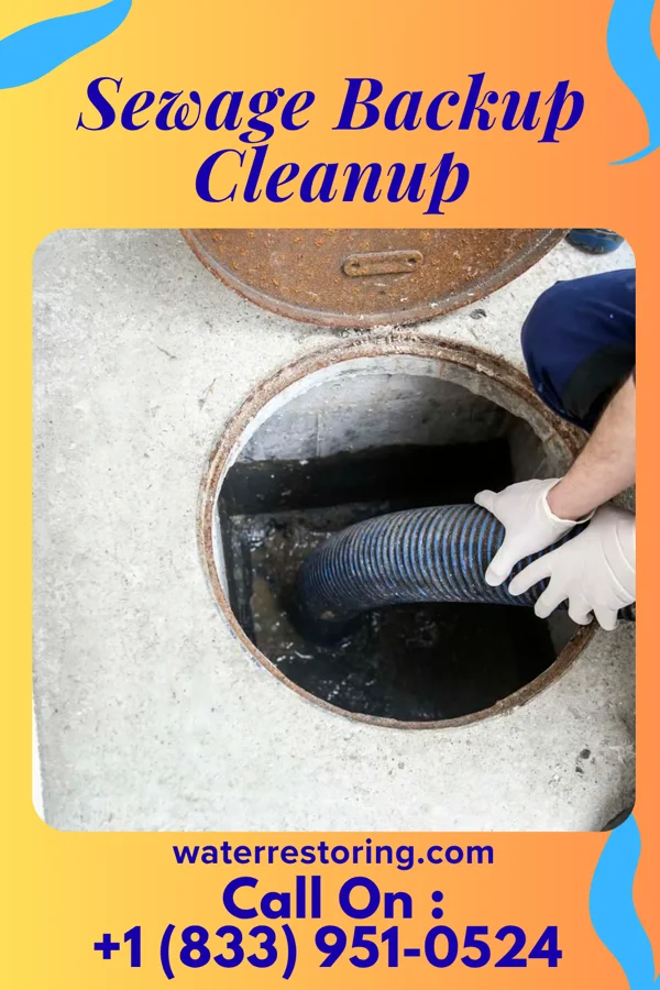 Sewage Backup Cleanup in Mulberry, OH