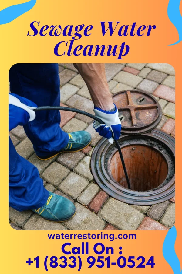 Sewage Water Cleanup in Mulberry, OH