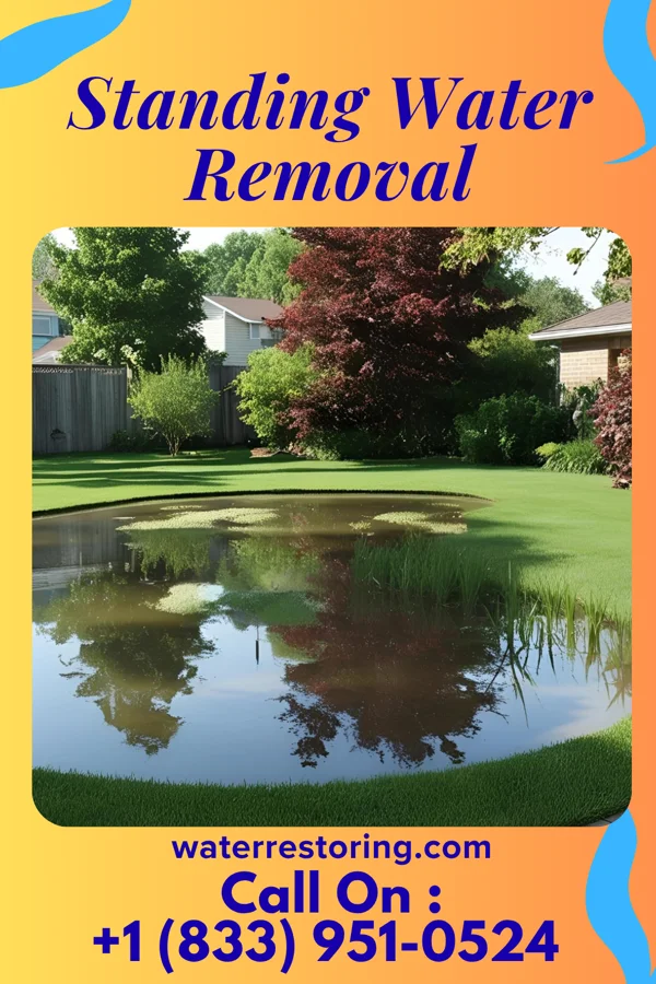 Standing Water Removal in Mulberry, OH